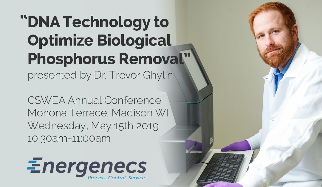 How you can use DNA tech to optimize your biological phosphorus removal