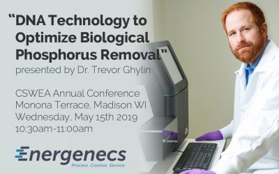 How you can use DNA tech to optimize your biological phosphorus removal