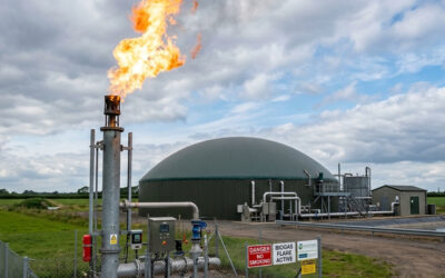 Troubleshooting Biogas Systems: A Small Fix with Major Results