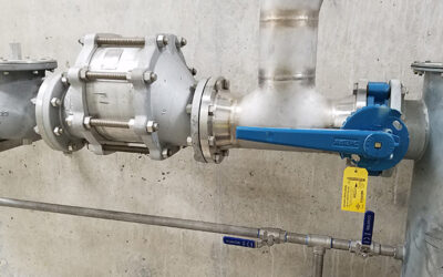 The Critical Importance of Biogas Safety Equipment for Anaerobic Systems