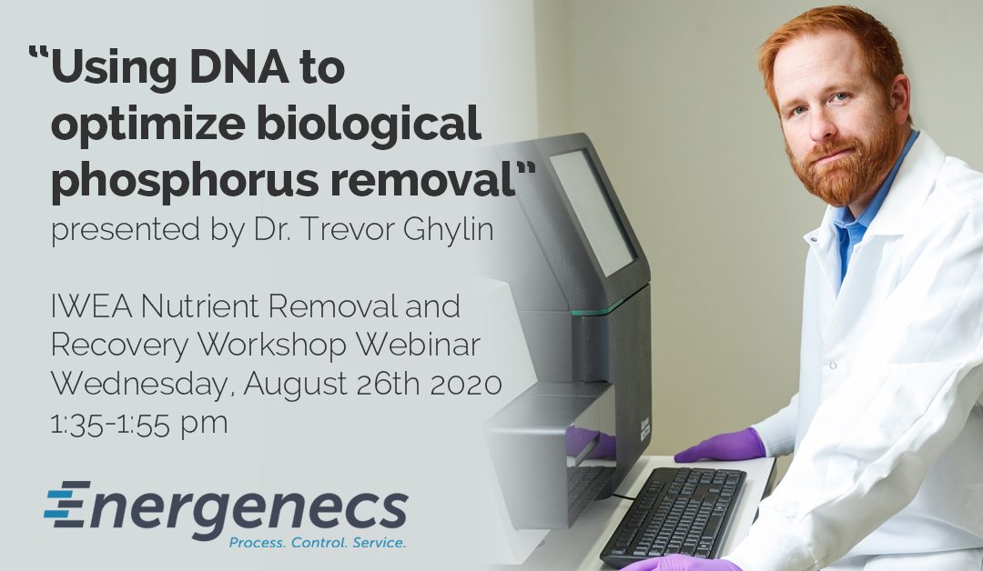 Using DNA to Optimize BPR Webinar