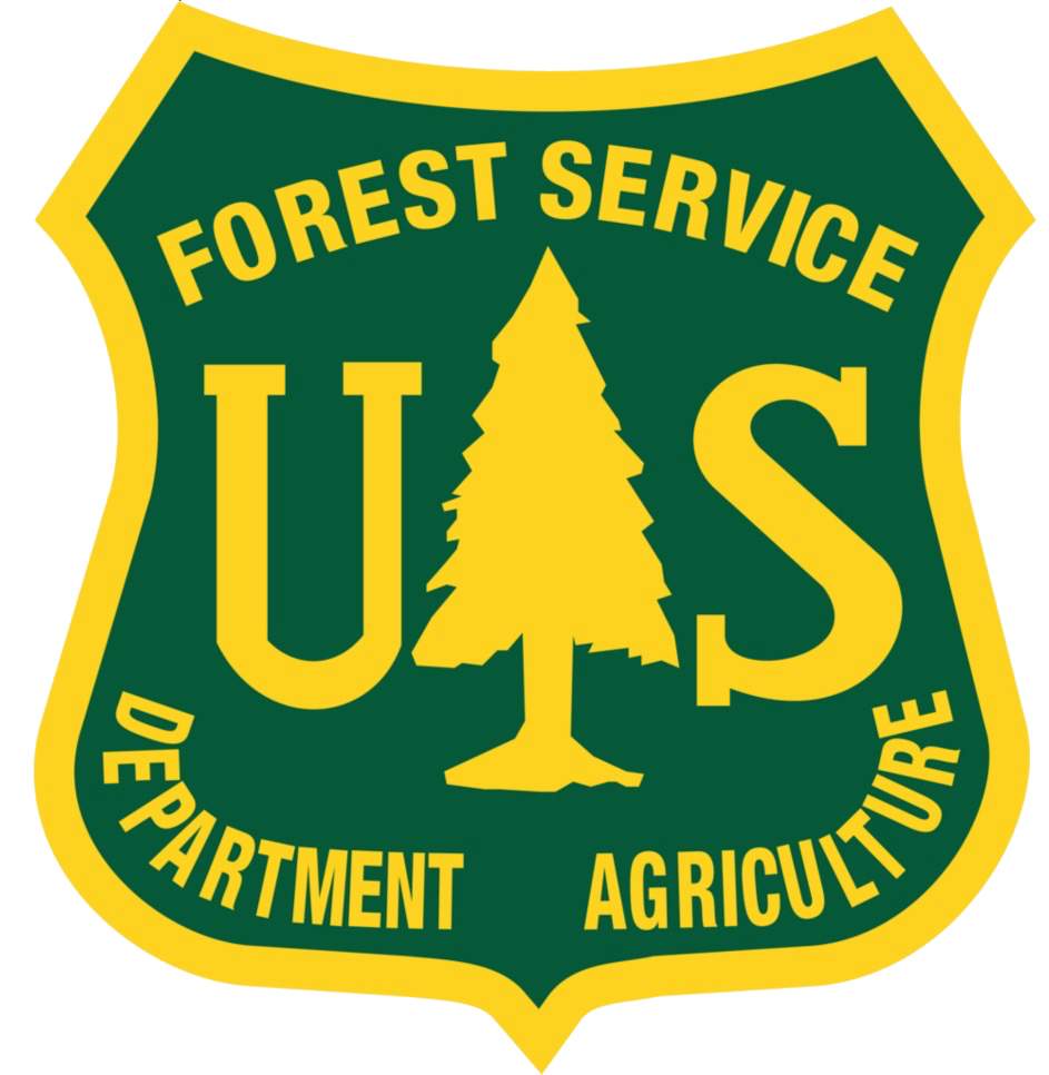 us forest
